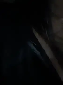 Stripchat Live Sex Cam of UL11