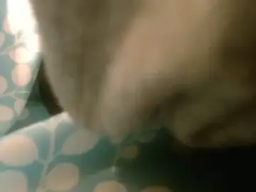 Stripchat Free Porn Cam of rockhead1971