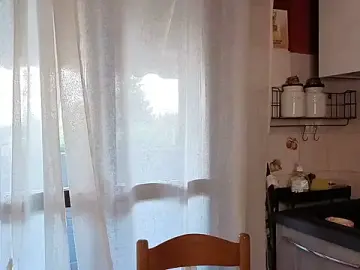 Stripchat Free Porn Cam of DragonflyExhib