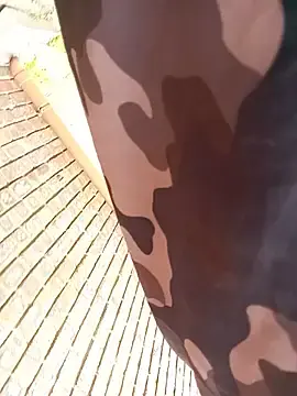 Stripchat Live Sex Cam of slizzyMe