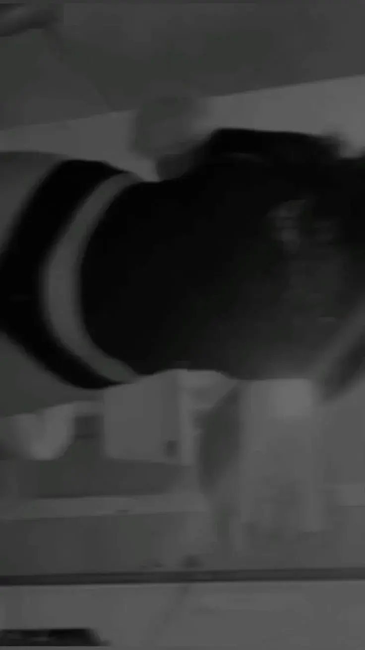 Zulamita99