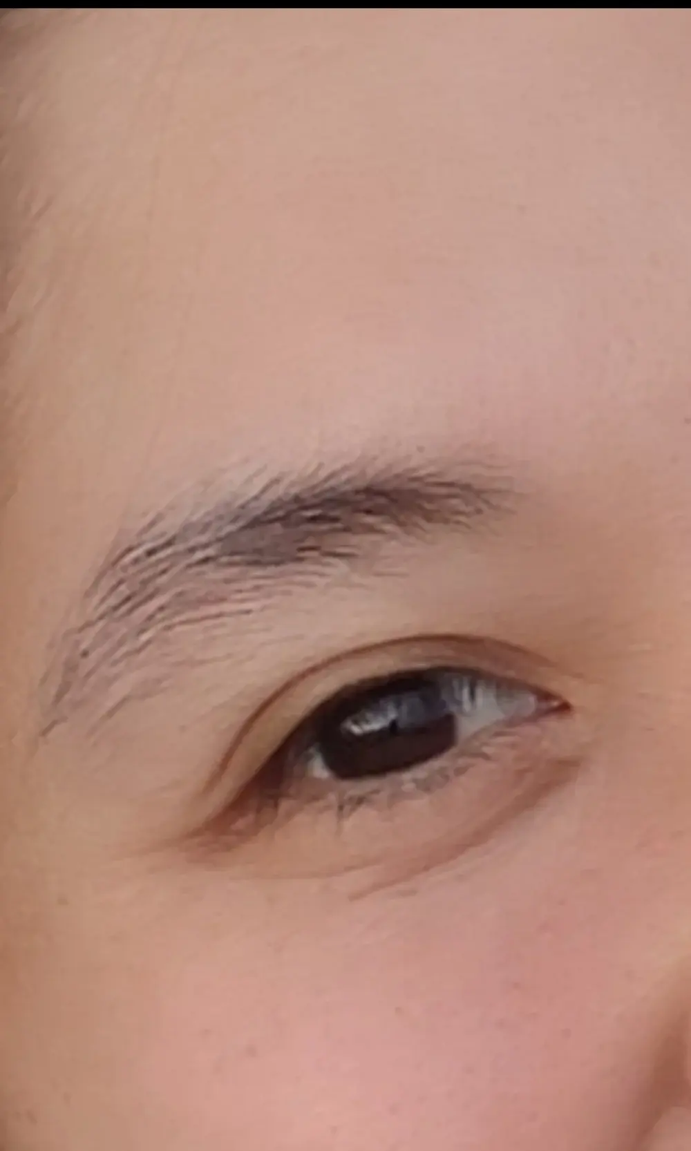 Luna_8888