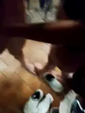 Stripchat Live Porn of LUDIMILLATOYS