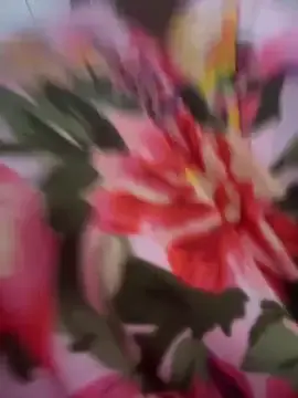 Stripchat Watch Live Sex Cams of CocoaLuxeXXX