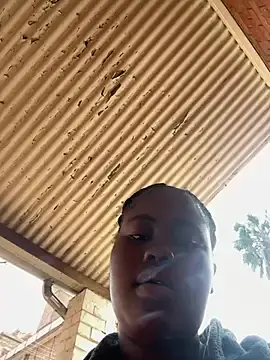 Stripchat Live Porn of TThickblackpussy1