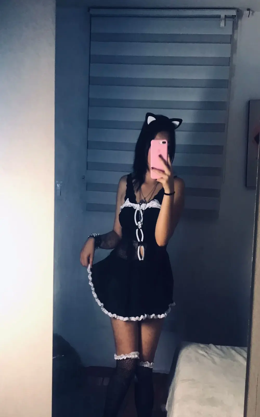 lsa_dolly_nyx