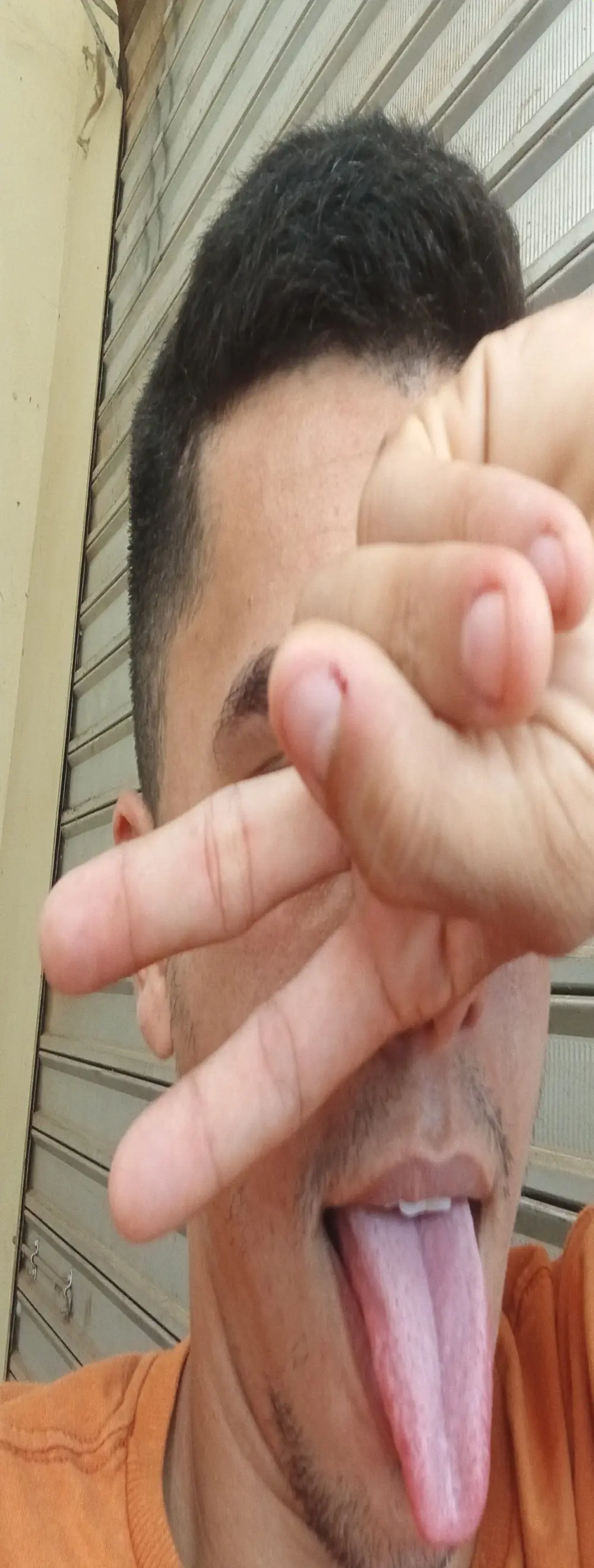 novinhorelampago