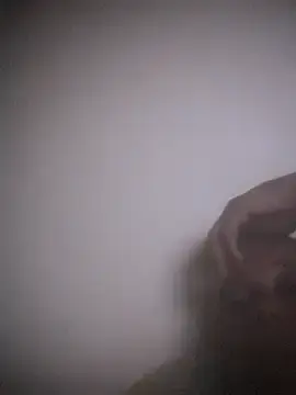 Stripchat Watch Live Sex Cams of doidopradar