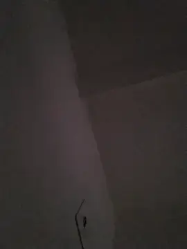 Stripchat Best live sex cam show of Annyeli