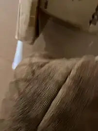 Stripchat Live Porn of Nira-baobei