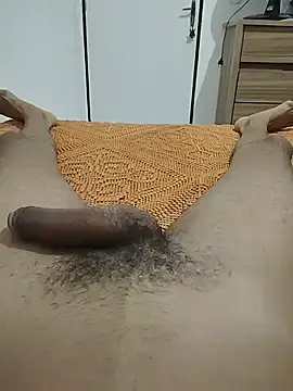 Stripchat Adult Webcams of Joaodetaquarana