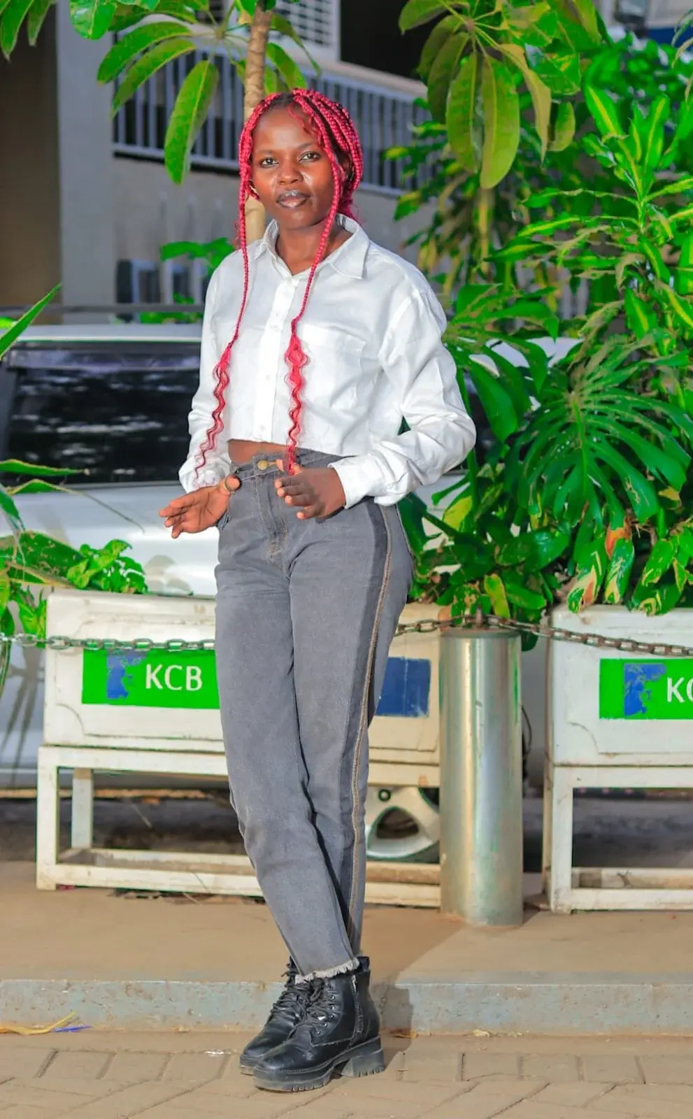 alvin_keji