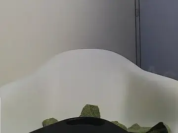 Stripchat Private Sex Chat of Big_fisting_ass