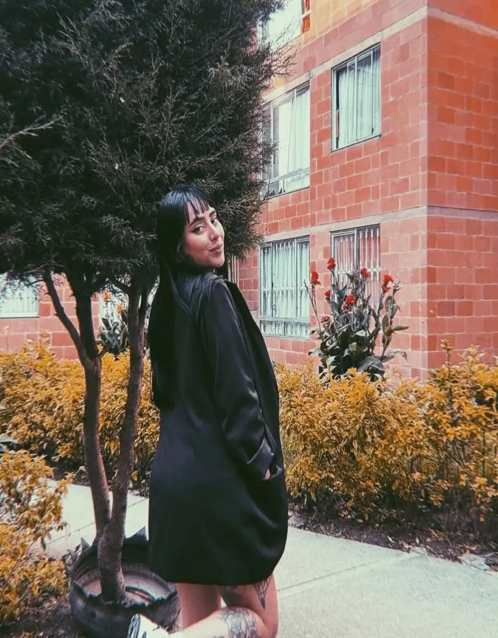 Lulu-21