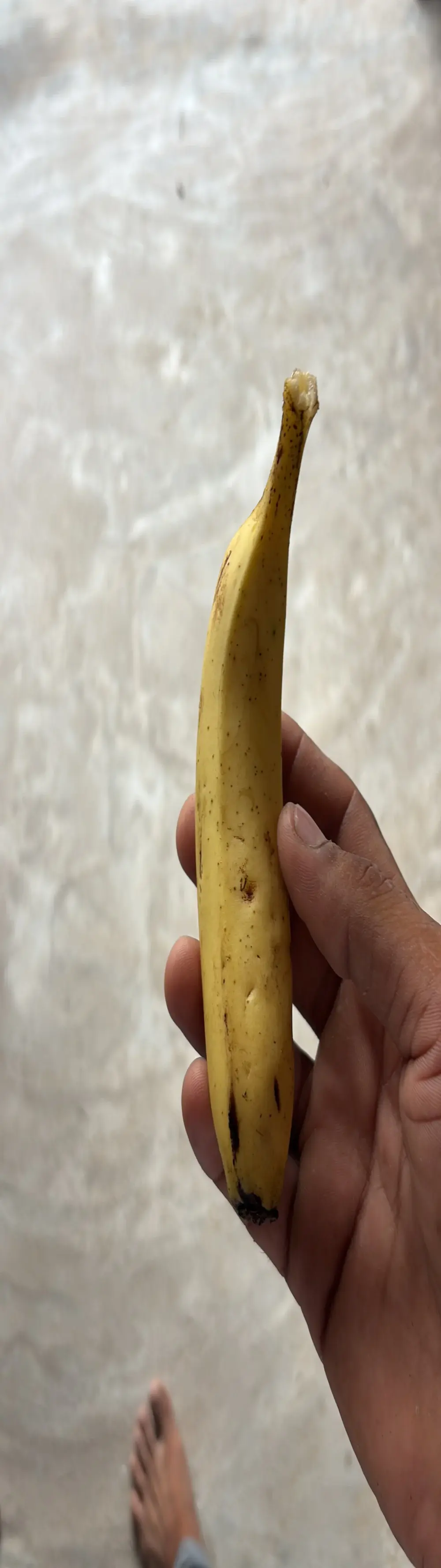 biamvuankao
