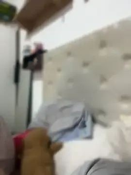 Stripchat Live Porn of alicetgirlbr