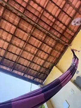 Stripchat Private Sex Chat of alicetgirlbr