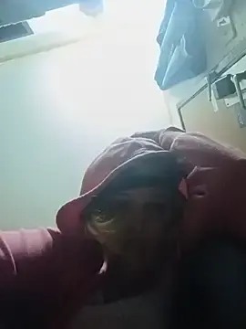 Stripchat Live Sex Cam of KITTYBOOBOOFUXX