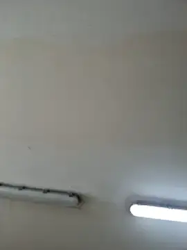 Stripchat Live Sex of Off_the_Lesh