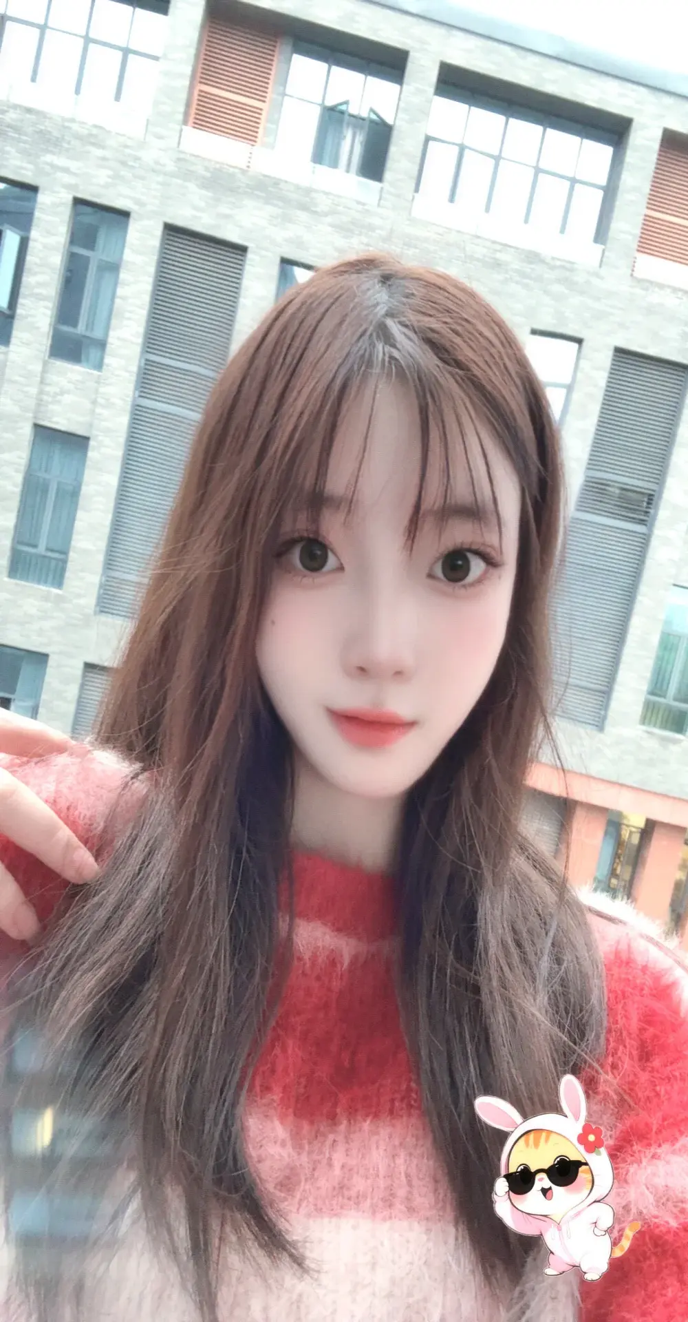 littleqiu