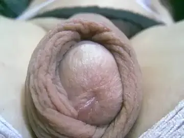 Stripchat Free Live Porn of annitsx