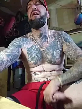 Stripchat Free Porn Cam of Beardedtattood