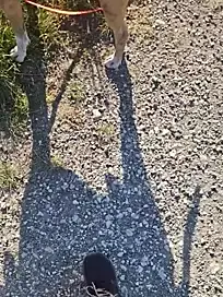 Stripchat Live Sex Cam of JackHera