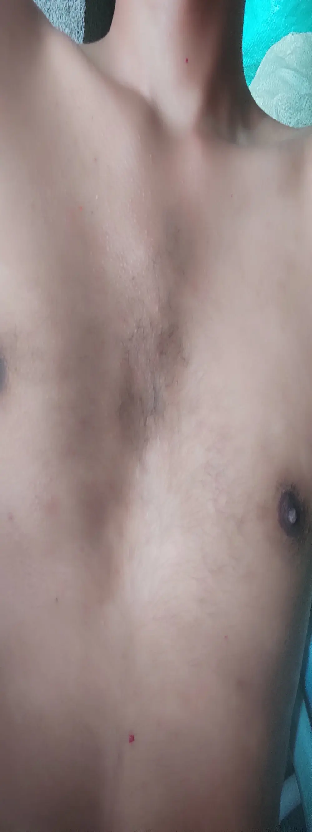 telugu_pedda_modda__1