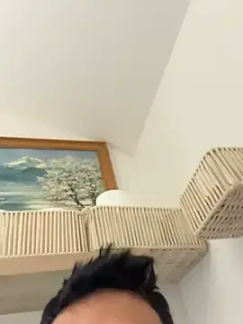 Stripchat Sex Chat of Gipsyboysteve
