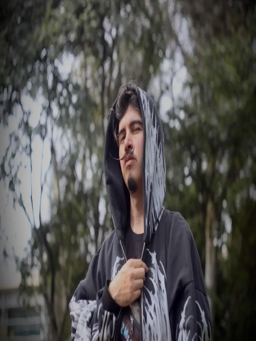 _dalii