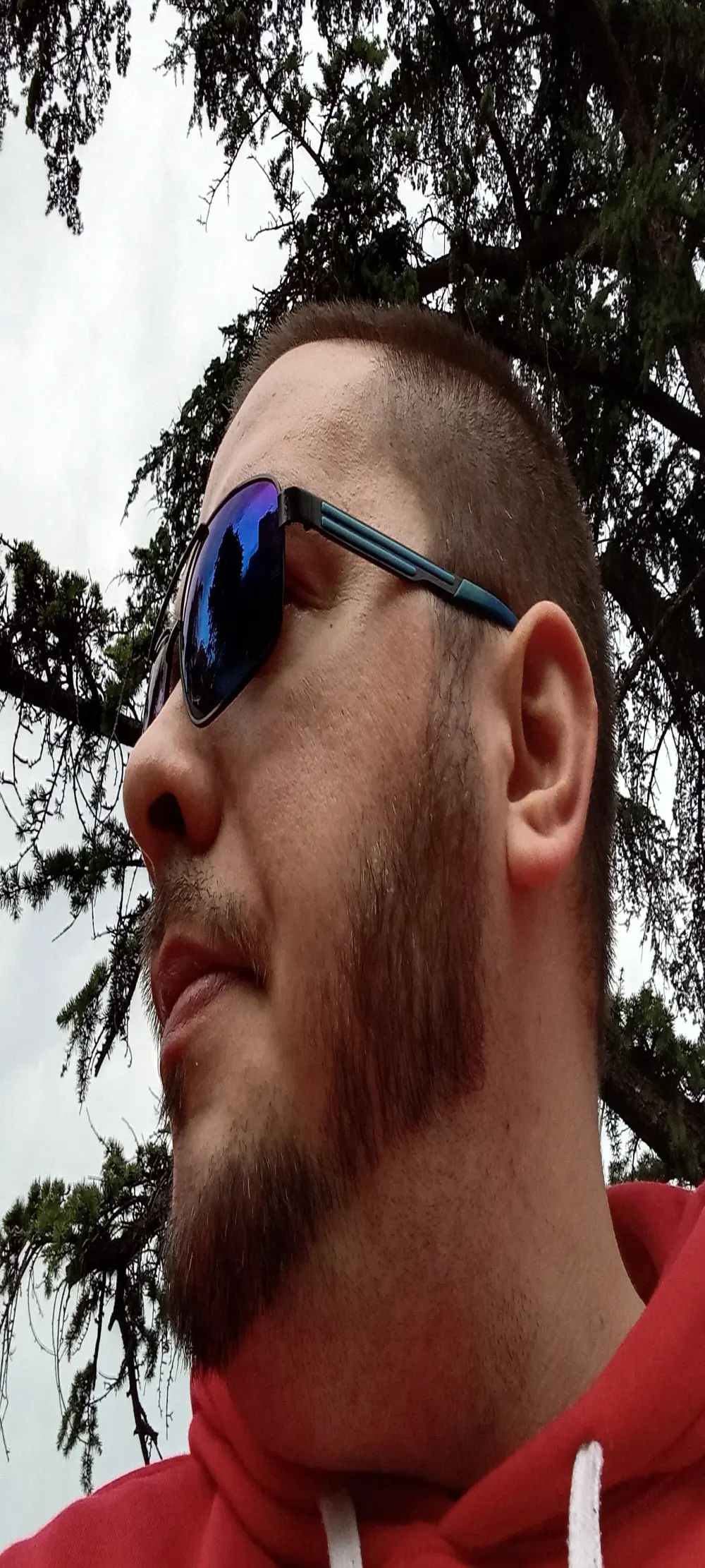 WildBoar_69