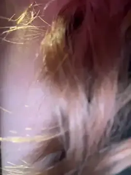 Stripchat Free Live Porn of Olivia_Jemison