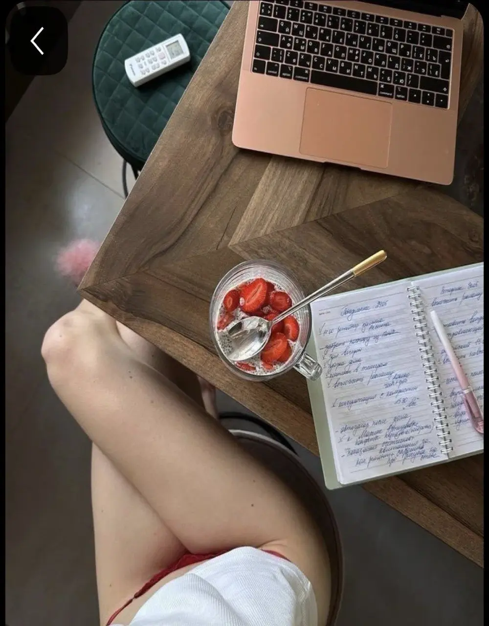_Amyvilvet_