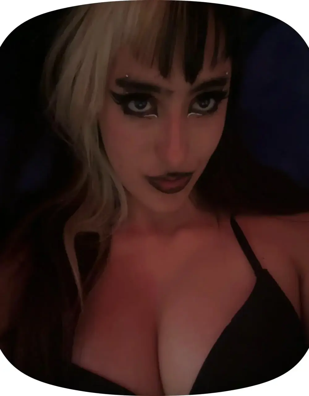 raven_t_