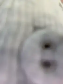Stripchat Watch Live Sex Cams of CreamPuff-