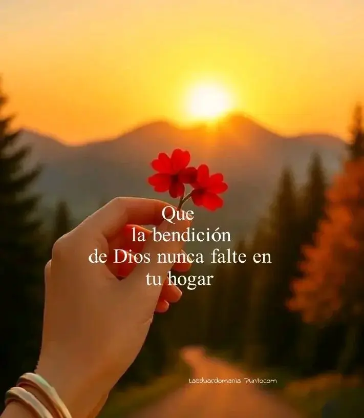 Golositadeamor