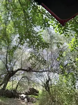 Stripchat Live Sex Cam of Wonder_Kari