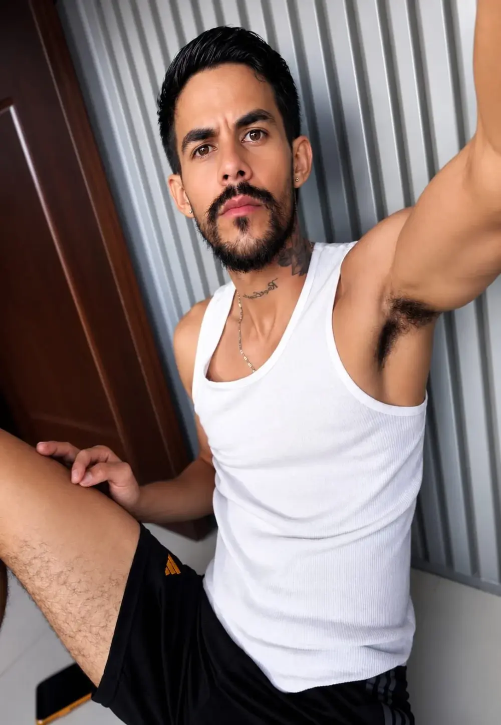 Leo_vesper1