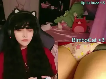 Stripchat Best live sex cam show of BimboCat