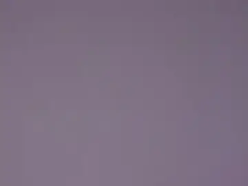 Stripchat Live Sex Cam of RobbyCharming