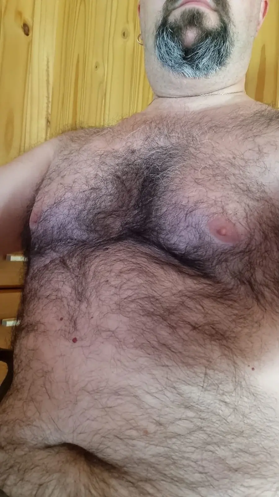 BearArg