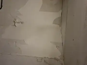 Stripchat Sex Cam of VersGuy7
