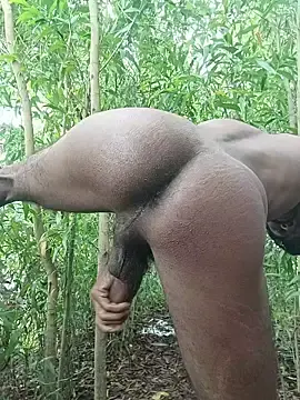 Stripchat Adult Webcam of 96Rohon