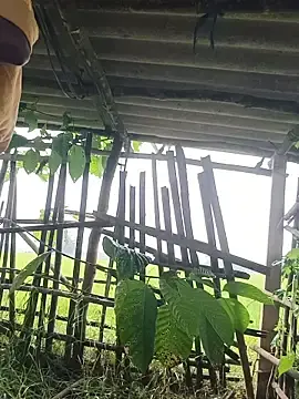 Stripchat Adult Webcam of 96Rohon