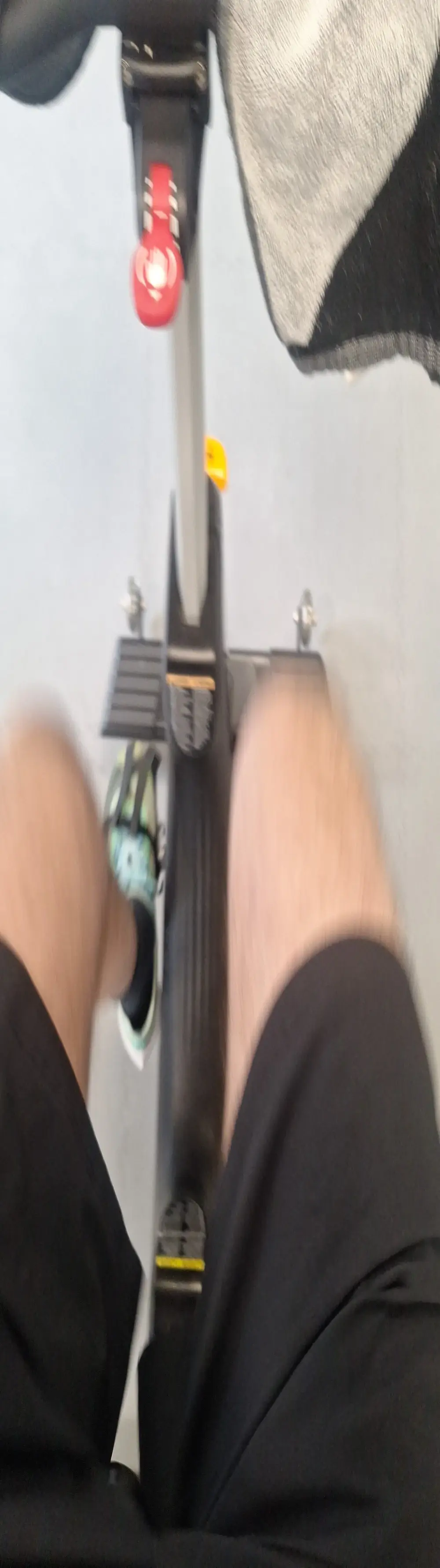 dickbigges15