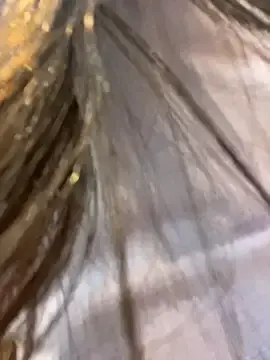 Stripchat Live Sex of ReggieG