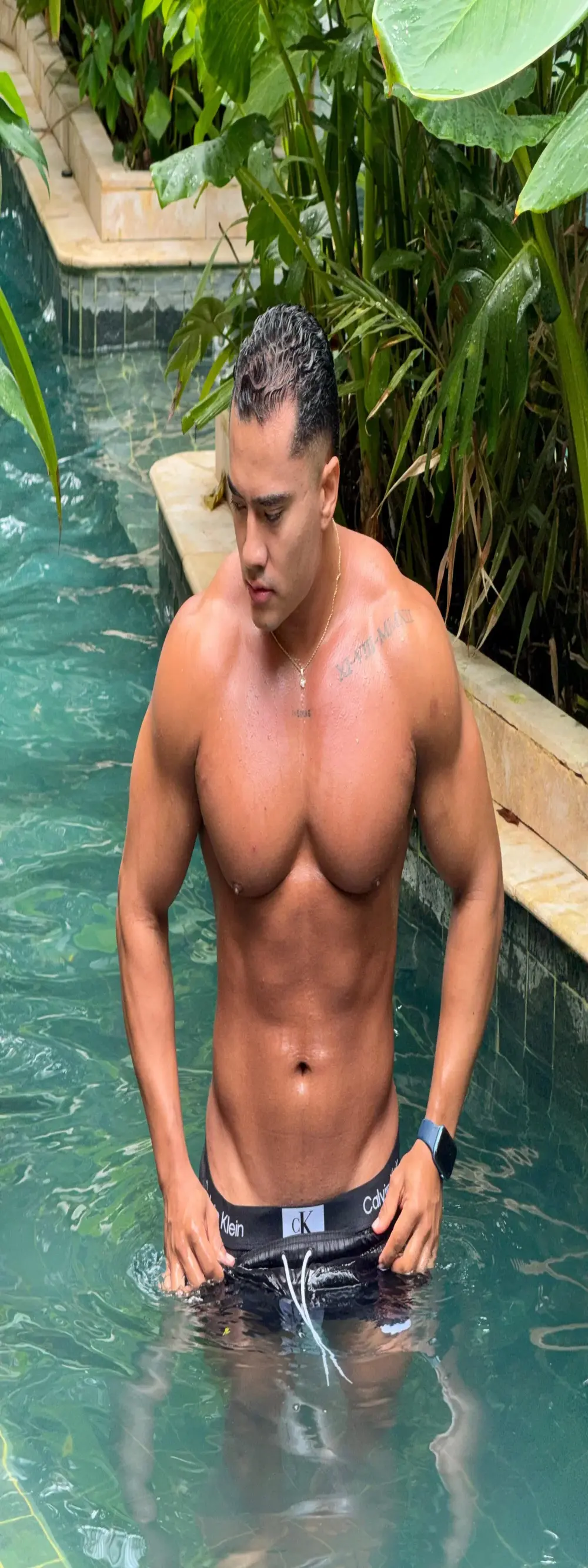 Biscuit_oliva