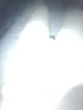 Stripchat Live Sex of MildStem
