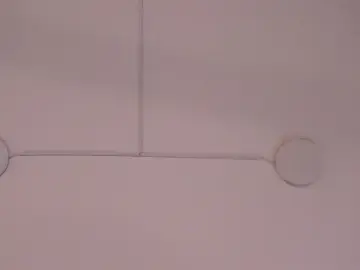 Stripchat Live Sex Cam of _Danaa