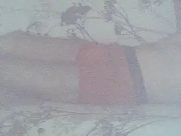 Stripchat Free Porn Cam of _Bluemann__